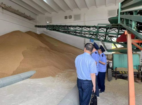 違規收購糧食被罰10萬元，南京公布一批典型案例加強糧食市場管理