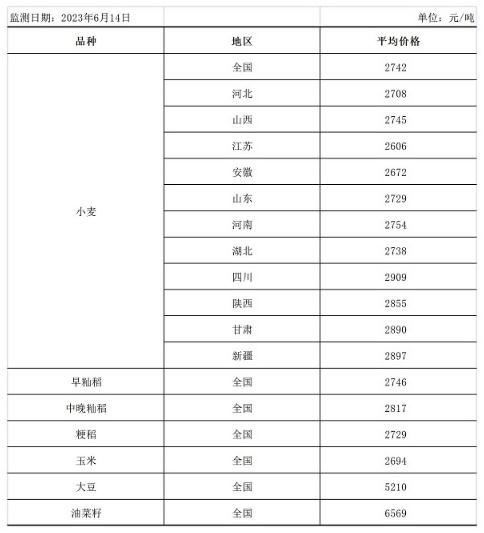 糧食市場迎來新發展趨勢，中方呼吁完善全球糧農治理體系